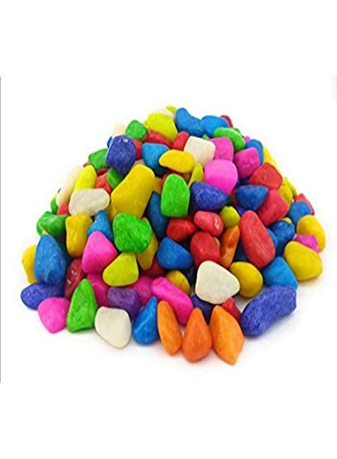 PlantaZee Colourful Glossy Pebbles Stones | Decorative Garden Aquarium & Outdoor Decoration(Multicolour, 1 Kg) - Image 2